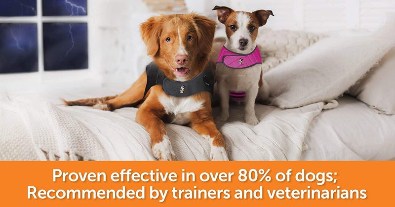 Thundershirt Dog Jacket for Anxiety, Green,Extra Extra Small - Image 2